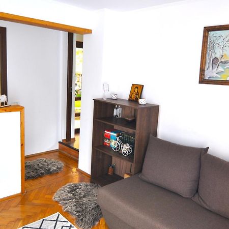 Vila Casa Tex Buşteni Exteriér fotografie