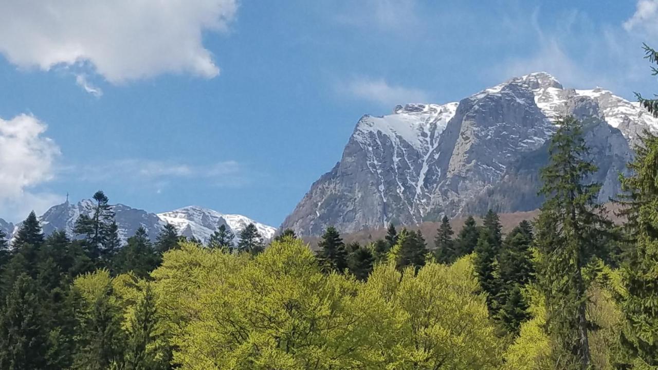 Vila Casa Tex Buşteni Exteriér fotografie