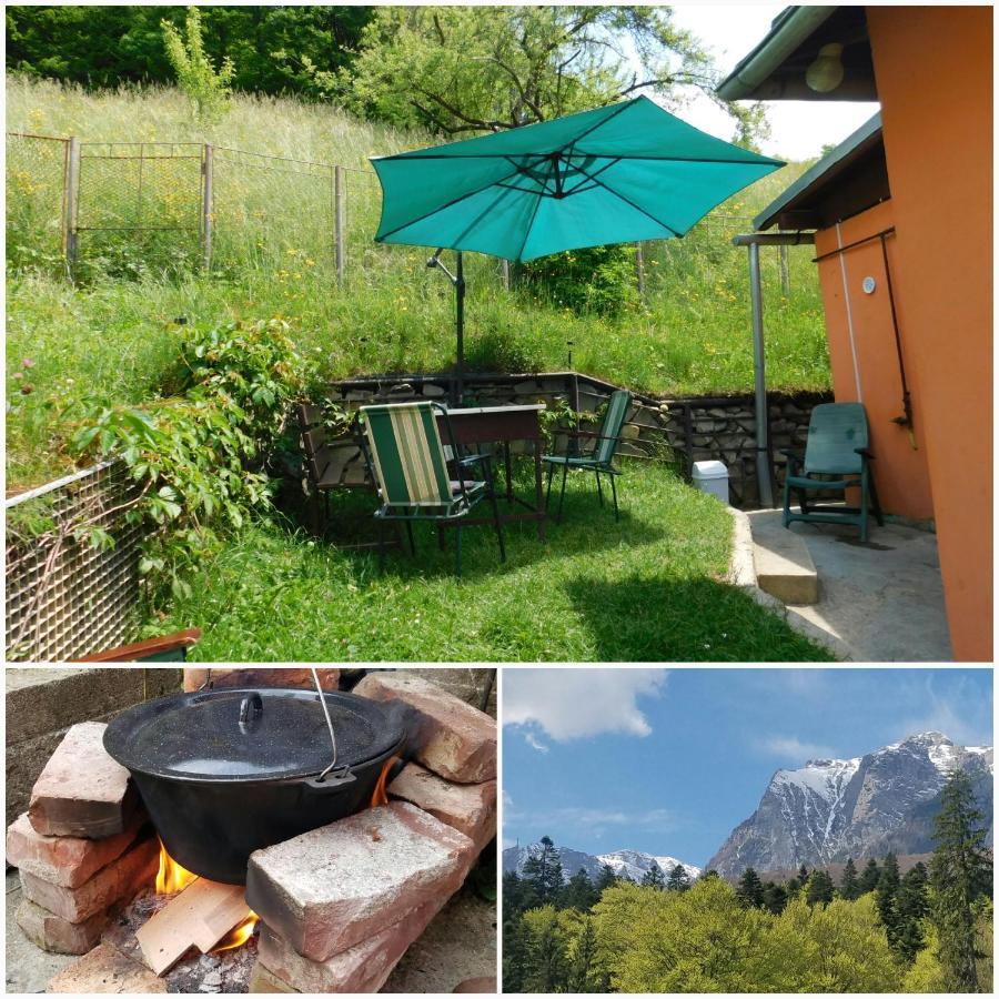 Vila Casa Tex Buşteni Exteriér fotografie