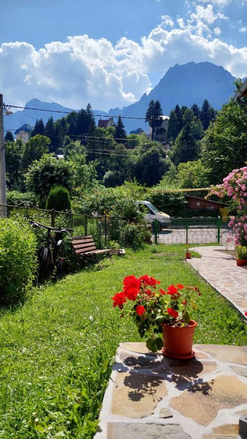 Vila Casa Tex Buşteni Exteriér fotografie