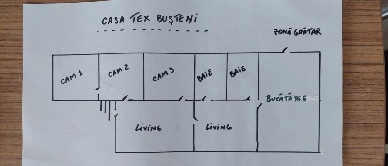 Vila Casa Tex Buşteni Exteriér fotografie