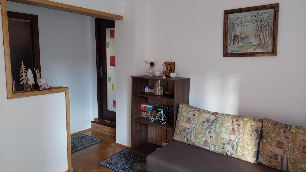 Vila Casa Tex Buşteni Exteriér fotografie