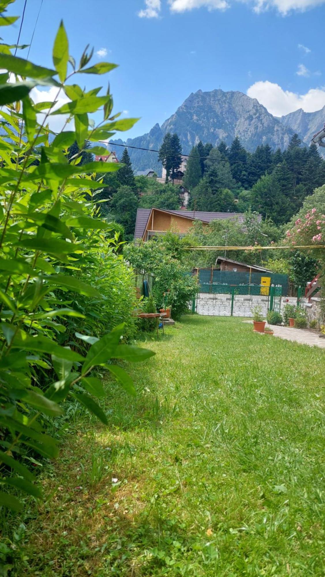 Vila Casa Tex Buşteni Exteriér fotografie