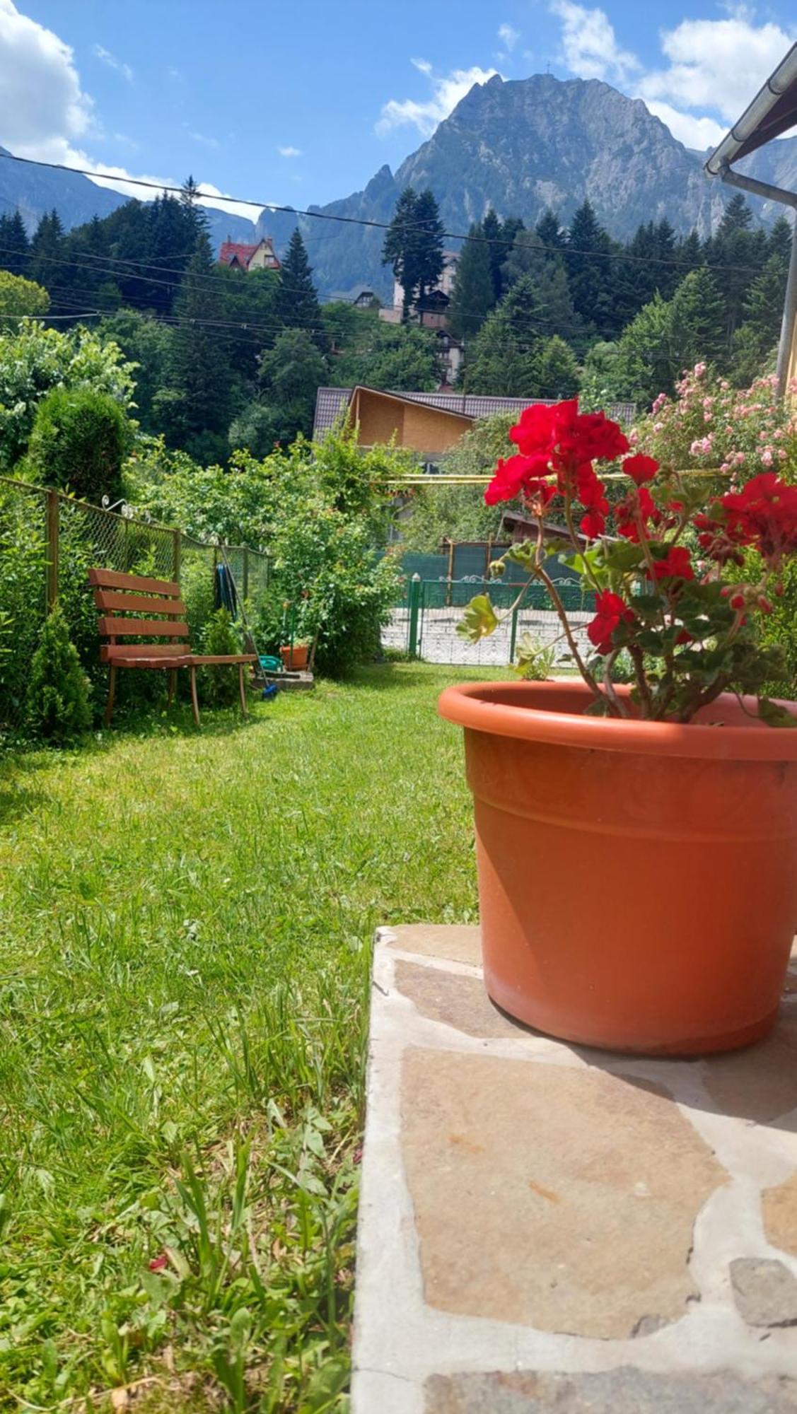 Vila Casa Tex Buşteni Exteriér fotografie